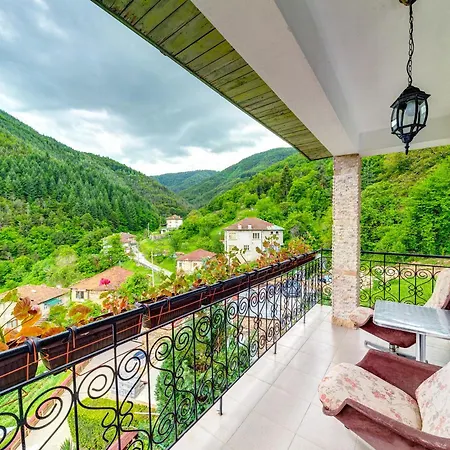 Villa хаджиевата къща *