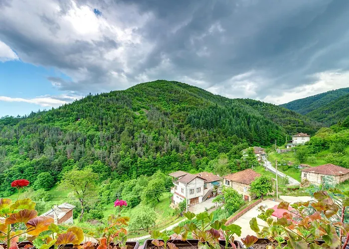 хаджиевата къща *